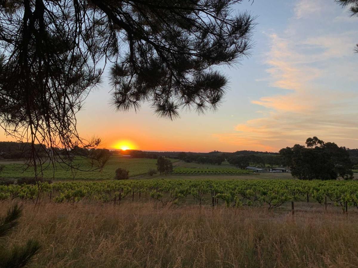 Bella Cosa Vila Mclaren Vale Exterior foto